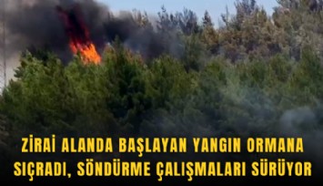 Zirai alanda başlayan yangın ormana sıçradı, söndürme çalışmaları sürüyor