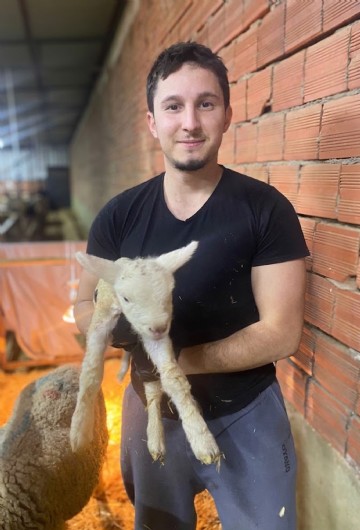 Bir yanında koyun sürüsü, diğer yanında dans pisti