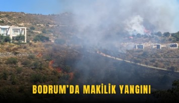 Bodrum’da makilik yangını