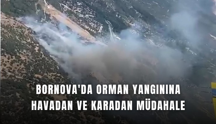 Bornova'da orman yangınına havadan ve karadan müdahale