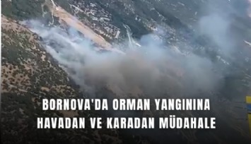 Bornova'da orman yangınına havadan ve karadan müdahale