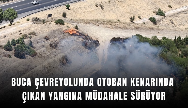 Buca çevreyolunda otoban kenarında çıkan yangına müdahale sürüyor