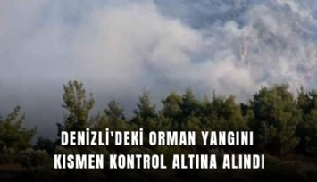 Denizli'deki orman yangını kısmen kontrol altına alındı