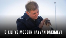 Dikili’ye modern hayvan bakımevi