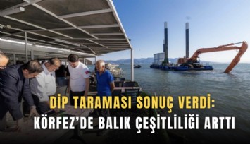 Dip taraması sonuç verdi: Körfez’de balık çeşitliliği arttı