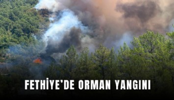 Fethiye’de orman yangını
