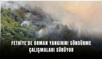 Fethiye'de orman yangını sürüyor