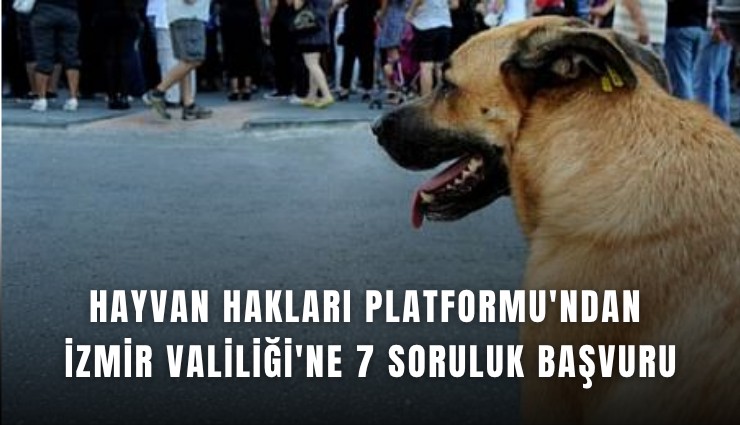 Hayvan Hakları Platformu'ndan İzmir Valiliği'ne 7 soruluk başvuru