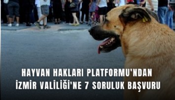 Hayvan Hakları Platformu'ndan İzmir Valiliği'ne 7 soruluk başvuru