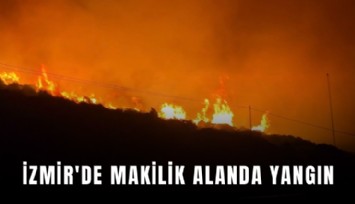 İzmir'de makilik alanda yangın