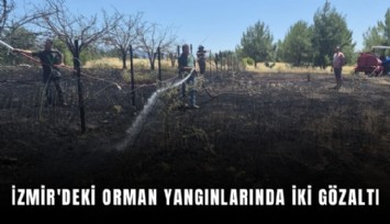 İzmir'deki orman yangınlarında iki gözaltı