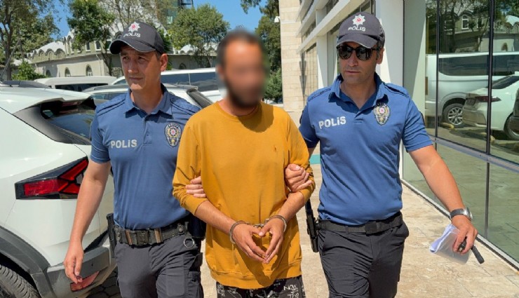 Kediye tekme atan şahıs tutuklandı: 'Sinirliydim, pişmanım'