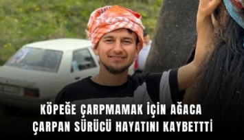Köpeğe çarpmamak için ağaca çarpan sürücü hayatını kaybettti