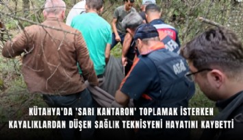 Kütahya'da 'sarı kantaron' toplamak isterken kayalıklardan düşen sağlık teknisyeni hayatını kaybetti