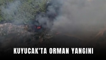 Kuyucak'ta orman yangını