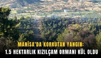 Manisa'da korkutan yangın: 1.5 hektarlık kızılçam ormanı kül oldu