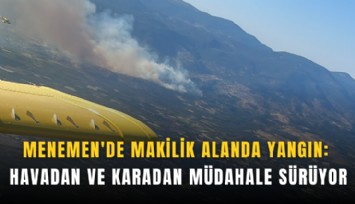 Menemen'de makilik alanda yangın: Havadan ve karadan müdahale sürüyor