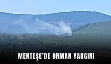 Menteşe’de orman yangını