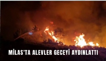 Milas'ta alevler geceyi aydınlattı