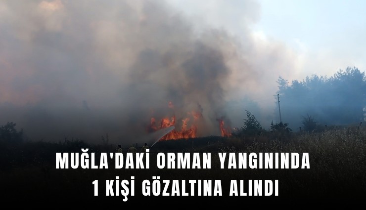 Muğla'daki orman yangınında 1 kişi gözaltına alındı