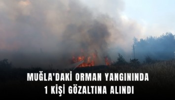 Muğla'daki orman yangınında 1 kişi gözaltına alındı