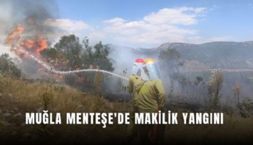 Muğla Menteşe'de makilik yangını
