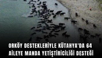 ORKÖY destekleriyle Kütahya'da 64 aileye manda yetiştiriciliği desteği