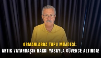 Ormanlarda tapu müjdesi: Artık vatandaşın hakkı yasayla güvence altında!