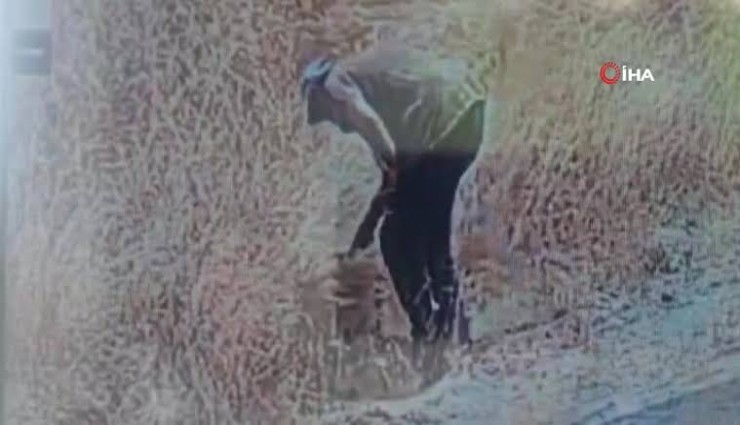 Otları çakmakla ateşe verdi, kameraya yakalandı