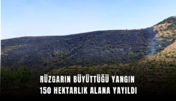 Rüzgarın büyüttüğü yangın 150 hektarlık alana yayıldı