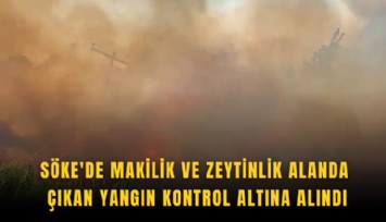 Söke'de makilik ve zeytinlik alanda çıkan yangın kontrol altına alındı