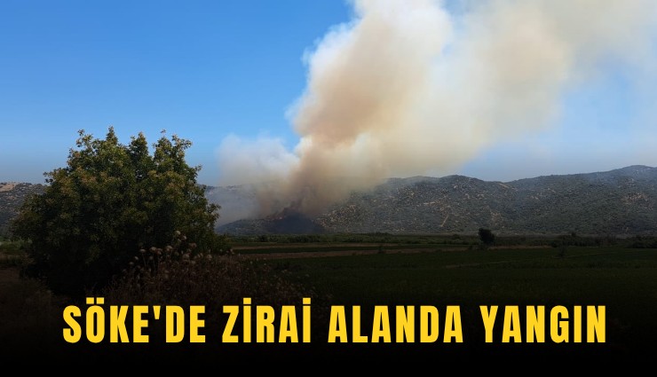 Söke'de zirai alanda yangın