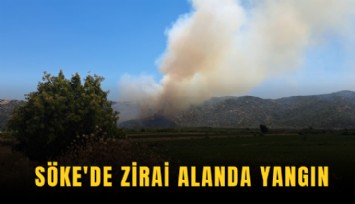 Söke'de zirai alanda yangın