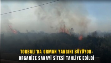 Torbalı'da orman yangını büyüyor: Organize sanayi sitesi tahliye edildi