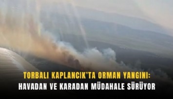 Torbalı Kaplancık’ta orman yangını