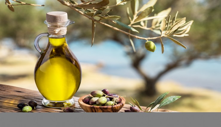Türk zeytin ve zeytinyağı sektörü'nde veri odaklı yeni dönem