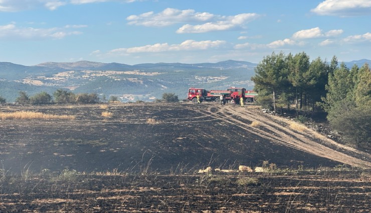 Uşak'ta ormanlık alana sıçrayan yangın söndürüldü