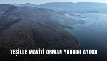 Yeşille maviyi orman yangını ayırdı